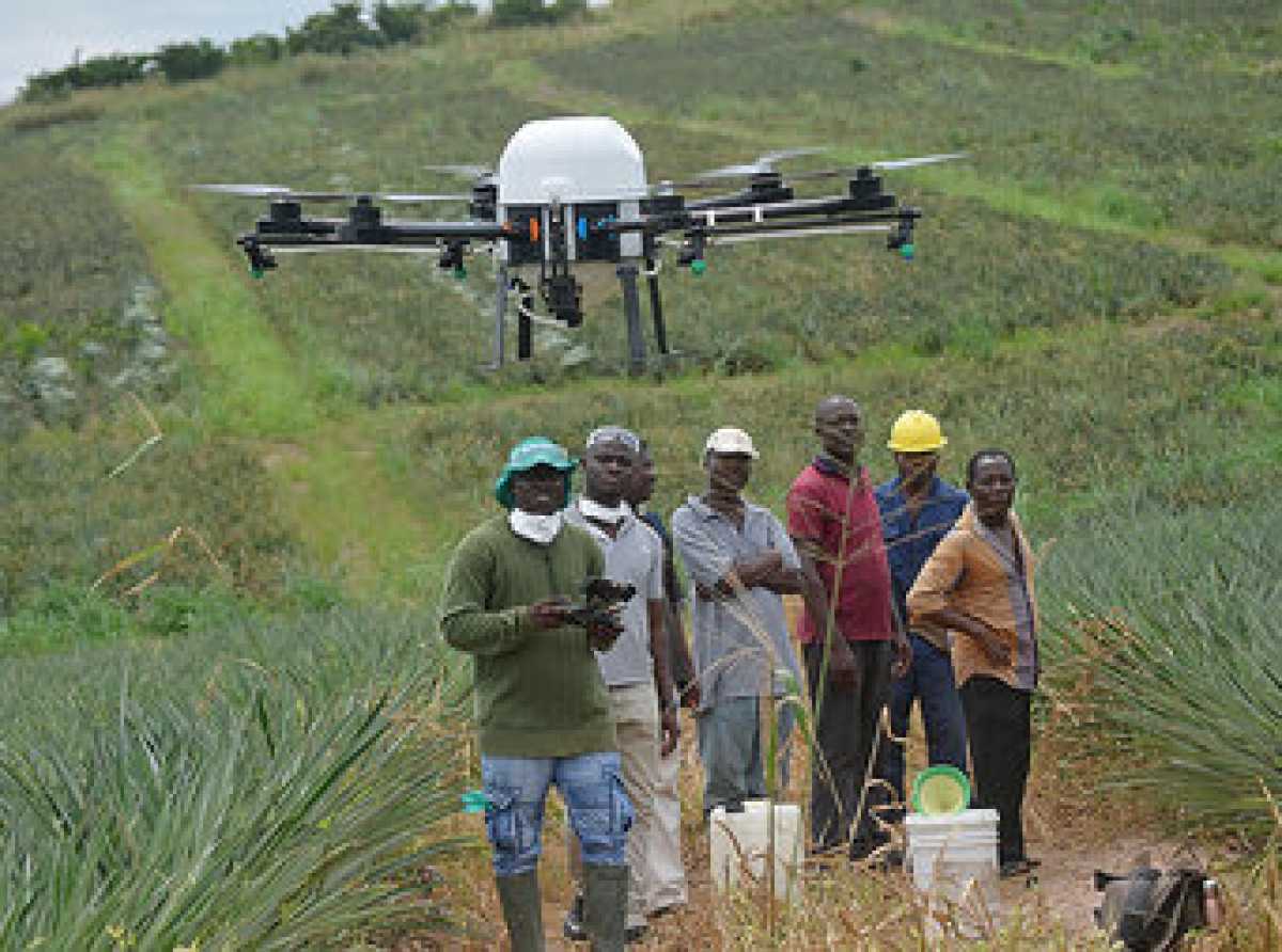 Government distributes fertiliser, drones to smallholder farmers under Feed Ghana Programme